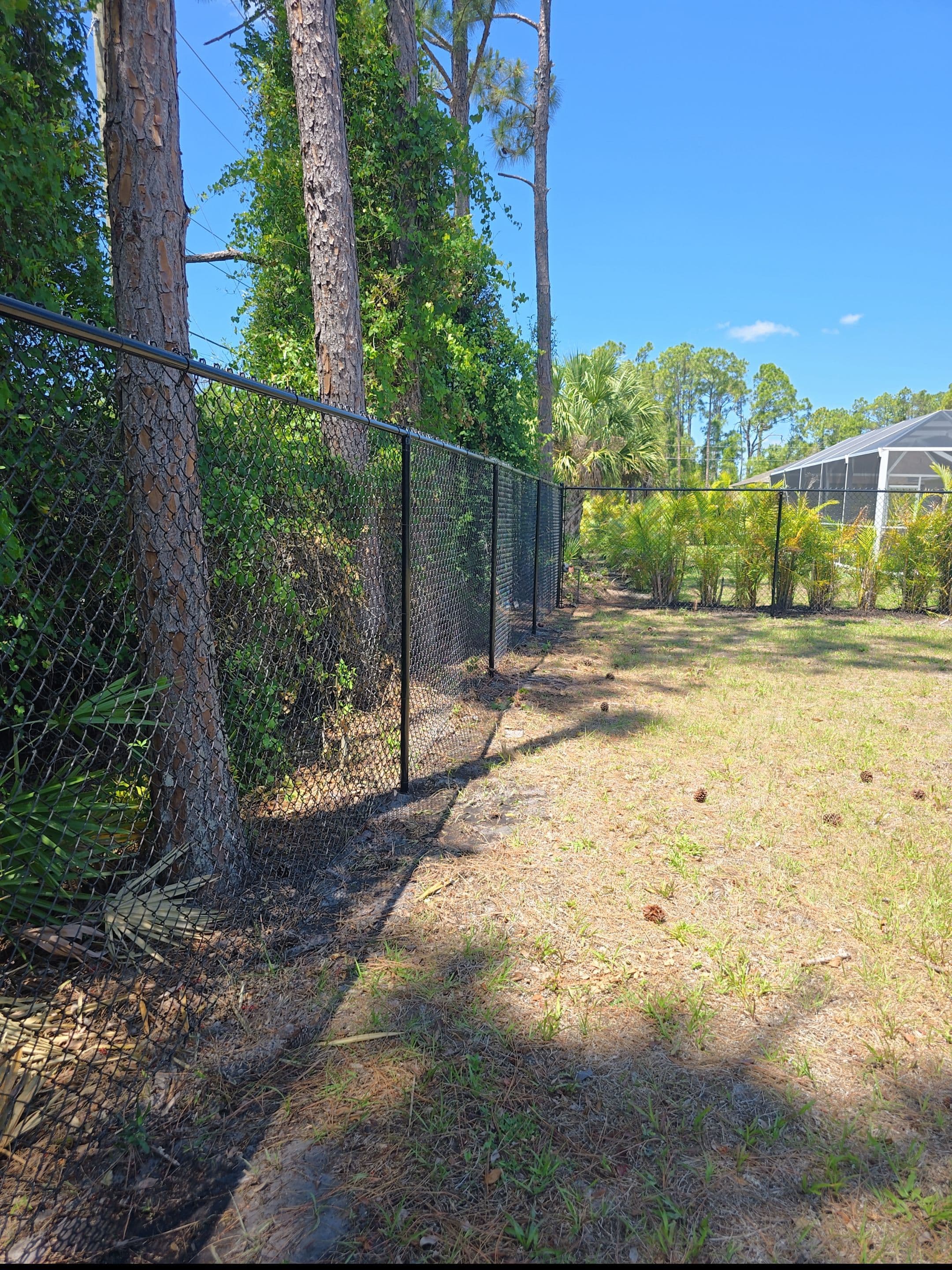 Chain Link Fences